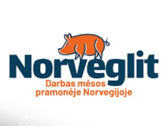 Работа в норвегии
