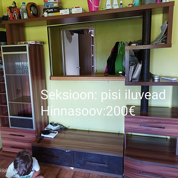 Секция