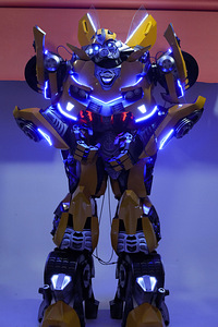 Raha teenimiseks unikaalne robot!!! (2 foto / 4)