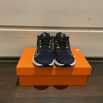 Кроссовки Nike W Quest 3 размер 38