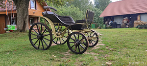 Пружинная тележка. (3 фото из 4)