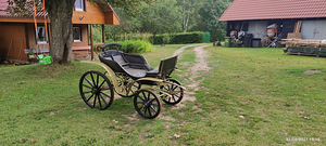 Пружинная тележка. (4 фото из 4)