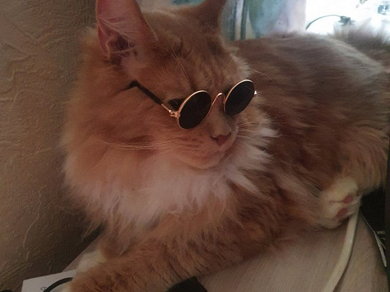 Мей-кун