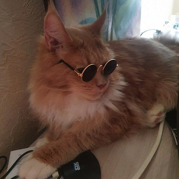 Мей-кун