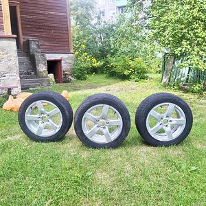 Lameelrehvid veljedega (4 foto / 5)