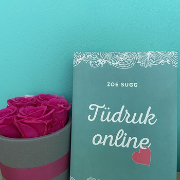 Eestikeelne raamat “Tüdruk Online”