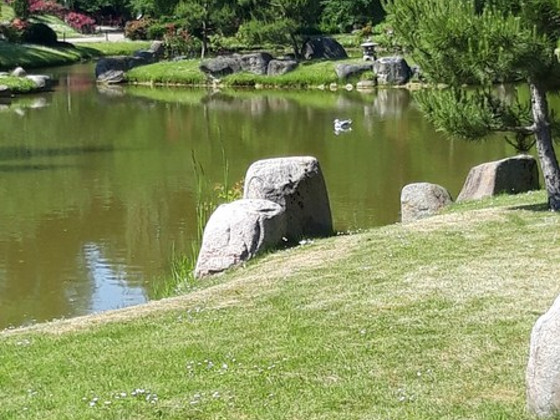 Maastiku kujundus, raamatud