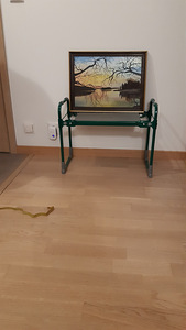 Õlimaal (1 foto / 1)