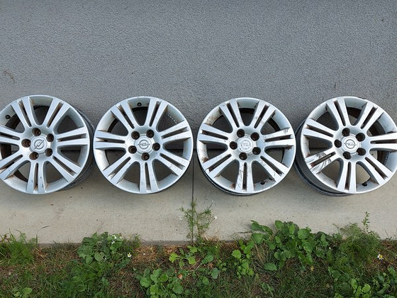 R16 rattad