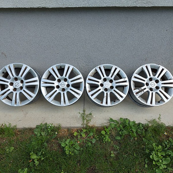 R16 rattad
