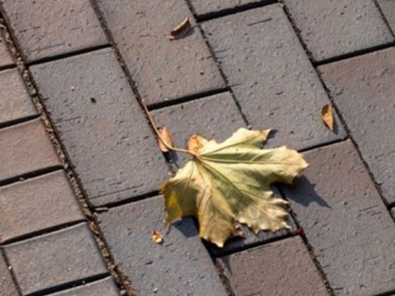 Klinkertänavakivi Aseri Terra kare