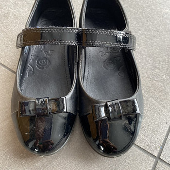 Kingad Ecco s29