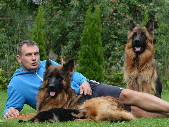 Щенки