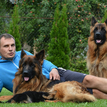 Kucēni