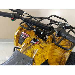 Uus laste elektriline ATV 1000W / 36V (8 foto / 10)
