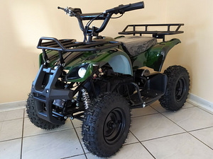 Uus laste elektriline ATV 1000W / 36V (9 foto / 10)