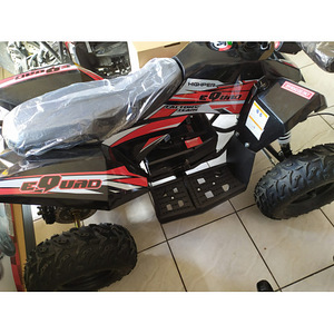 Uus laste elektriline ATV 1000W / 36V (10 foto / 10)
