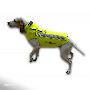 Pruunistus Protect Pro Evo koera vest (uus, suurus 65)
