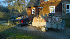 HÄSTI KUIVAD PLIIDI JA AHJUPUUD (4 foto / 9)