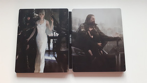 PS4 Steelbook Last of Us Horizon Tomb Raider Control (5 foto / 10)