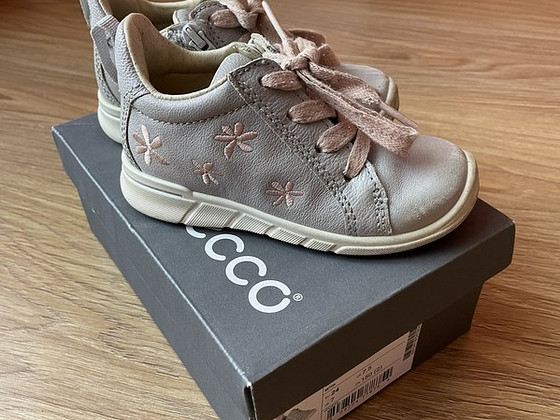 Ecco s24