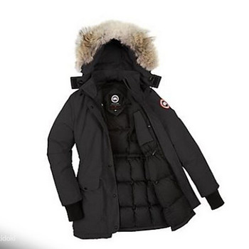 Joppe Canada goose