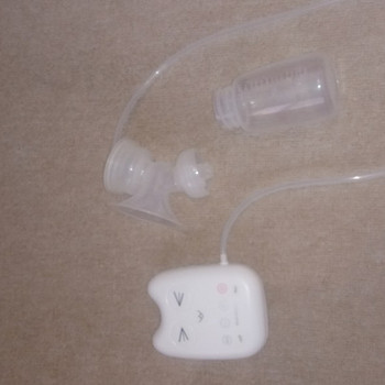 Elektriline rinnapump