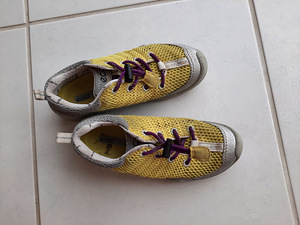 Ecco tossud s 30, stp u 19,5 cm (3 foto / 4)