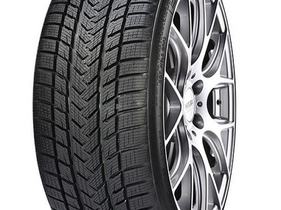 Talverehv 265/35R20 + 295/30/R20 99V Gripmax lamell