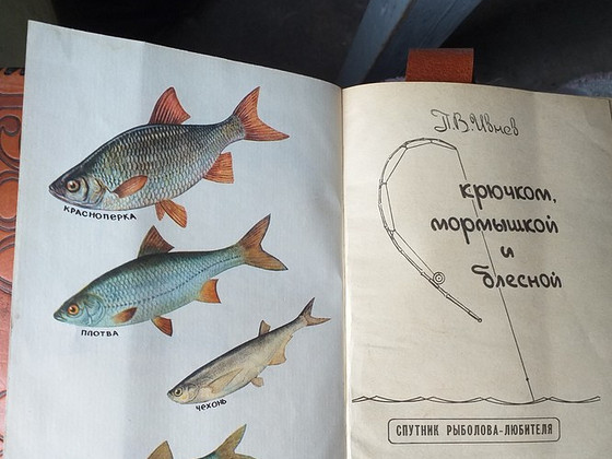 Книга про рыб