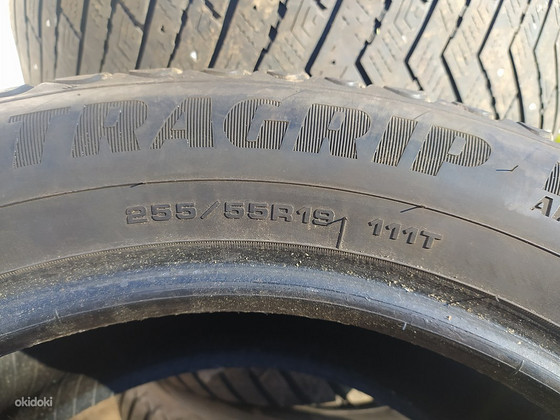 255.55.19