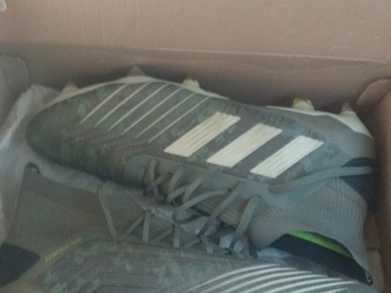 Кроссовки Adidas Predator 19.1 SG