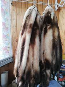 Loomanahk - tuhkur (1 foto / 3)