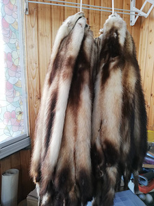 Loomanahk - tuhkur (2 foto / 3)
