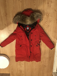 Canada goose (1 фото из 6)