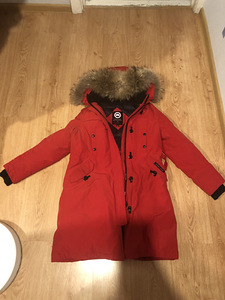 Canada goose (2 фото из 6)