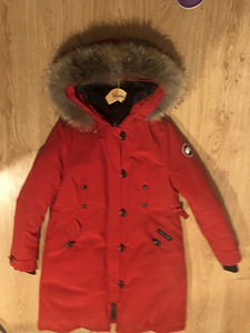 Canada goose (3 фото из 6)