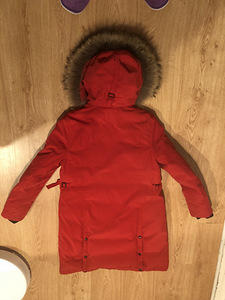 Canada goose (4 фото из 6)