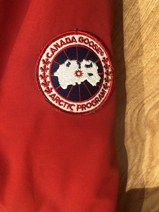Canada goose (5 фото из 6)