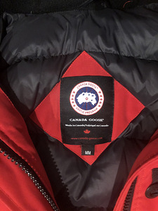 Canada goose (6 фото из 6)