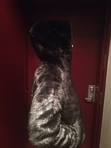 Naiste Firetrap kapuutsiga kasukas (4 foto / 8)