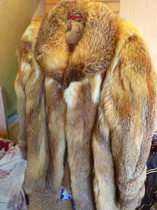 Nutria karv (1 foto / 7)