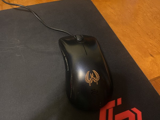 Мышь Zowie ECI-B cs go