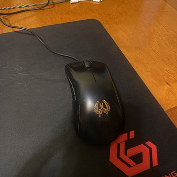 Мышь Zowie ECI-B cs go