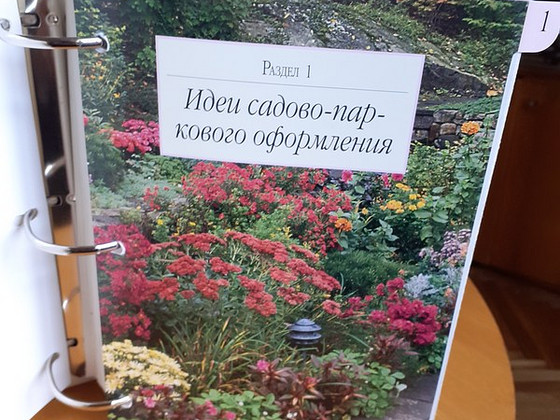 Сад моей мечты