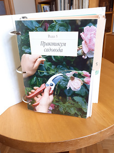 Сад моей мечты (1 фото из 6)