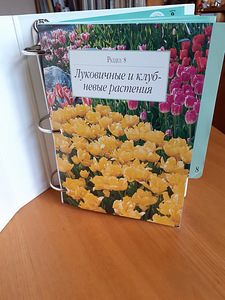 Сад моей мечты (4 фото из 6)