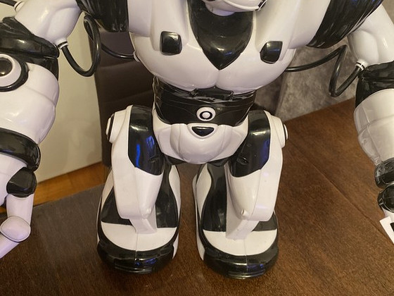 Robot