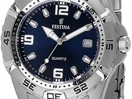 Мужские часы Festina 16170