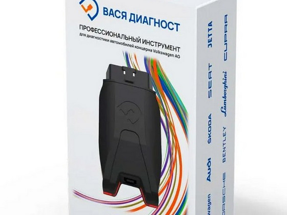 Vasya Diagnost